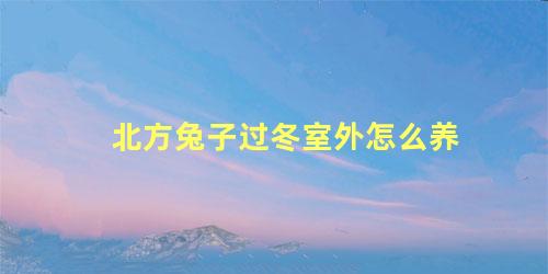 北方兔子过冬室外怎么养