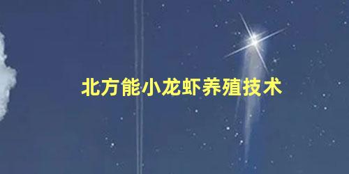 北方能小龙虾养殖技术