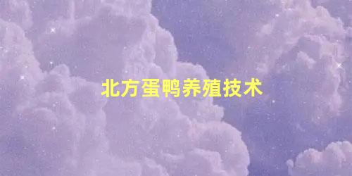 北方蛋鸭养殖技术