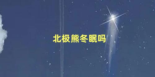 北极熊冬眠吗