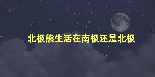 北极熊生活在南极还是北极