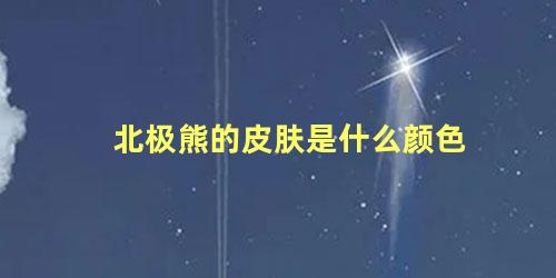 北极熊的皮肤是什么颜色
