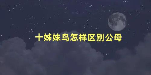 十姊妹鸟怎样区别公母