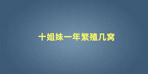 十姐妹一年繁殖几窝