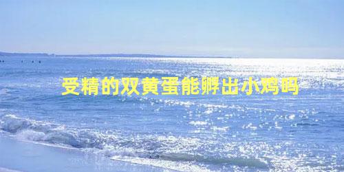 受精的双黄蛋能孵出小鸡吗