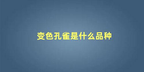 变色孔雀是什么品种