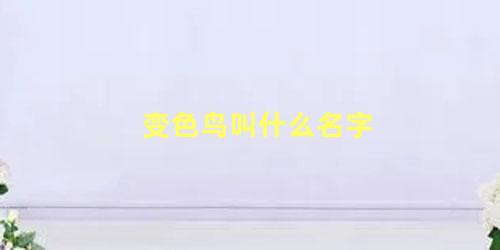 变色鸟叫什么名字