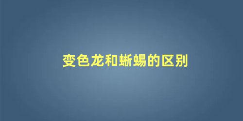 变色龙和蜥蜴的区别