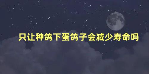 只让种鸽下蛋鸽子会减少寿命吗
