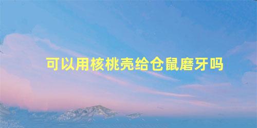 可以用核桃壳给仓鼠磨牙吗