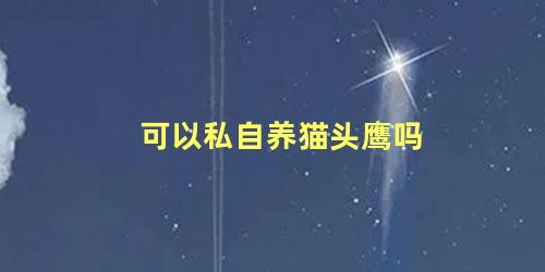 可以私自养猫头鹰吗