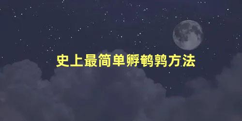 史上最简单孵鹌鹑方法