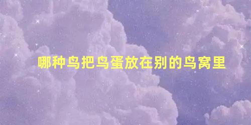 哪种鸟把鸟蛋放在别的鸟窝里