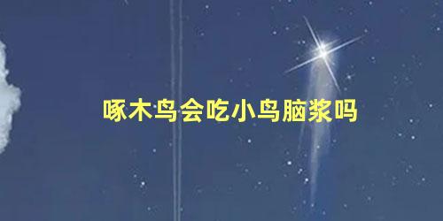 啄木鸟会吃小鸟脑浆吗