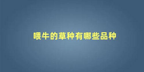 喂牛的草种有哪些品种