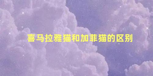 喜马拉雅猫和加菲猫的区别