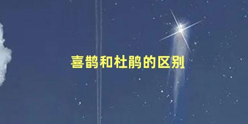 喜鹊和杜鹃的区别