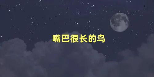 嘴巴很长的鸟