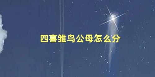四喜雏鸟公母怎么分