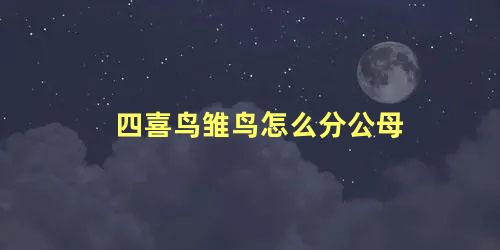 四喜鸟雏鸟怎么分公母
