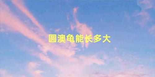圆澳龟能长多大