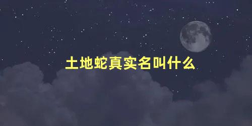 土地蛇真实名叫什么