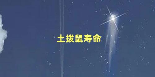 土拨鼠寿命