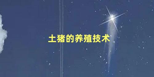 土猪的养殖技术