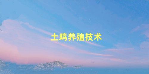 土鸡养殖技术
