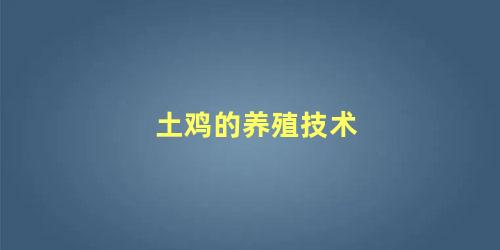 土鸡的养殖技术