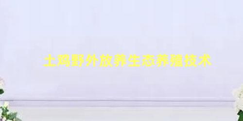 土鸡野外放养生态养殖技术