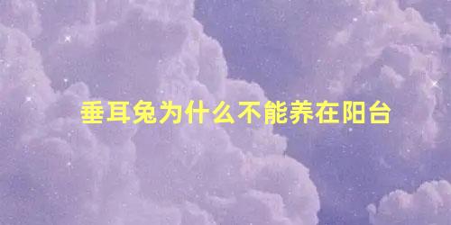 垂耳兔为什么不能养在阳台