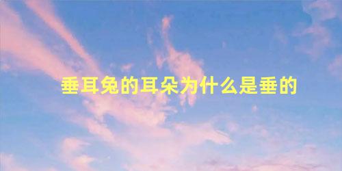 垂耳兔的耳朵为什么是垂的