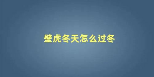 壁虎冬天怎么过冬