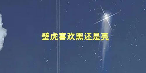 壁虎喜欢黑还是亮
