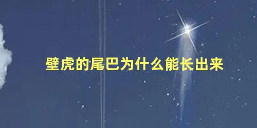 壁虎的尾巴为什么能长出来