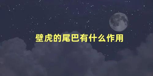 壁虎的尾巴有什么作用