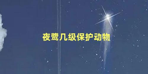 夜鹭几级保护动物