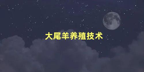 大尾羊养殖技术