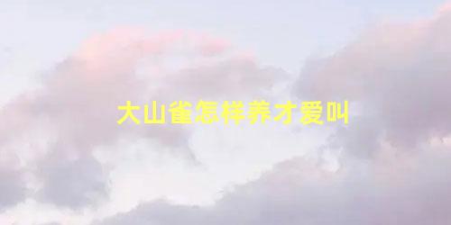 大山雀怎样养才爱叫