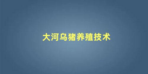 大河乌猪养殖技术
