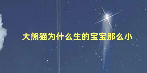 大熊猫为什么生的宝宝那么小