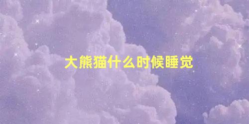 大熊猫什么时候睡觉