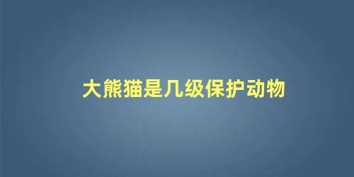 大熊猫是几级保护动物