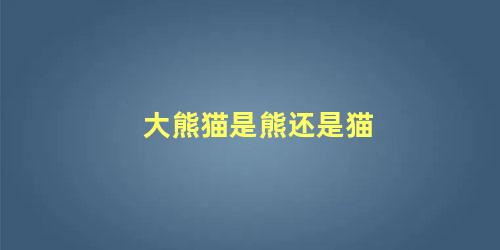 大熊猫是熊还是猫