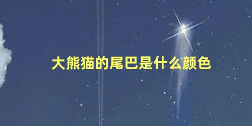 大熊猫的尾巴是什么颜色