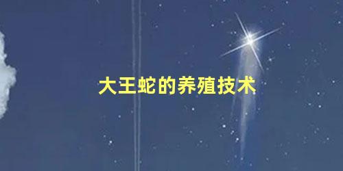 大王蛇的养殖技术