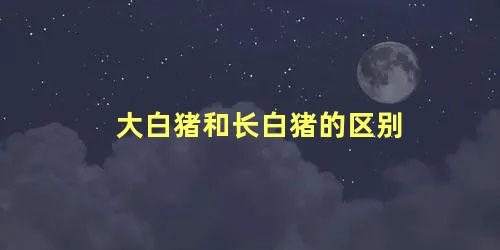 大白猪和长白猪的区别