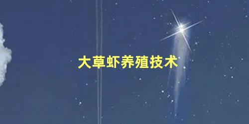 大草虾养殖技术