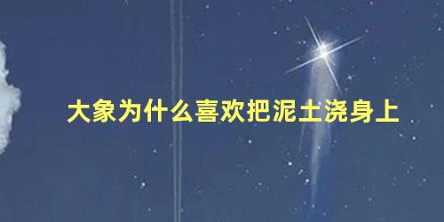 大象为什么喜欢把泥土浇身上